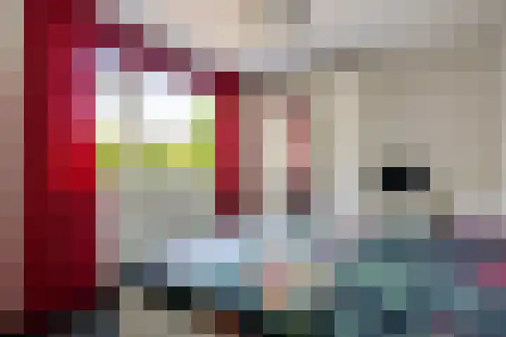 Potgietersingel 25 Zevenhuizen thumbnail 23