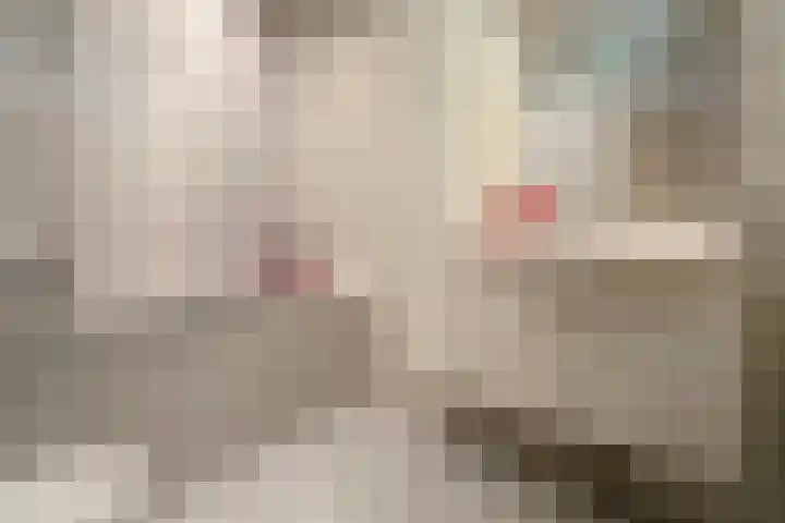 Potgietersingel 25 Zevenhuizen thumbnail 24