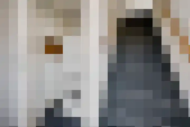 Potgietersingel 25 Zevenhuizen thumbnail 26