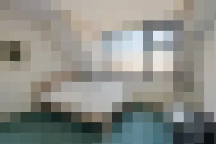 Potgietersingel 25 Zevenhuizen thumbnail 27