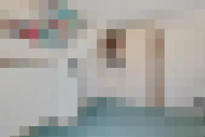 Potgietersingel 25 Zevenhuizen thumbnail 32