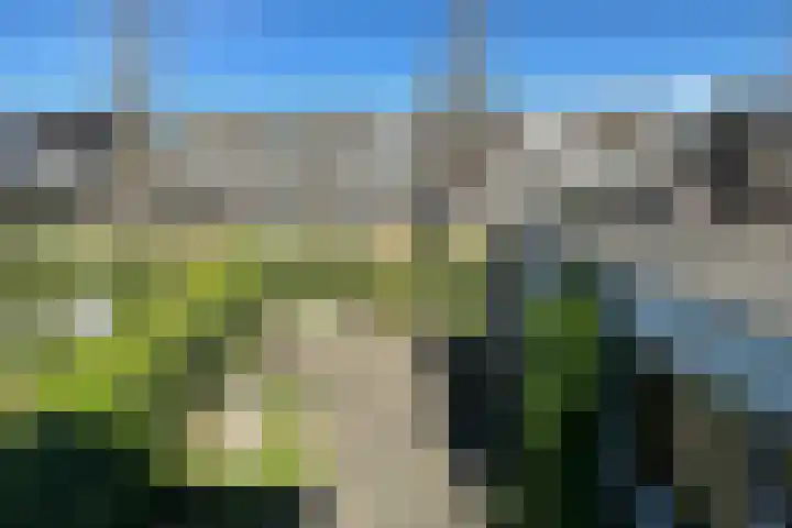Potgietersingel 25 Zevenhuizen thumbnail 35