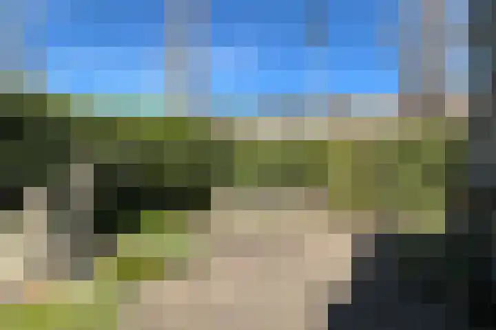 Potgietersingel 25 Zevenhuizen thumbnail 38