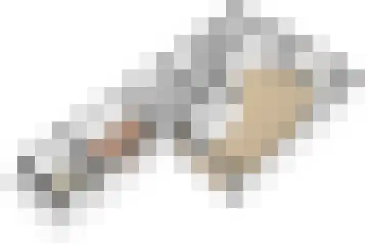 Potgietersingel 25 Zevenhuizen thumbnail 41