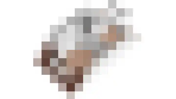 Potgietersingel 25 Zevenhuizen thumbnail 44