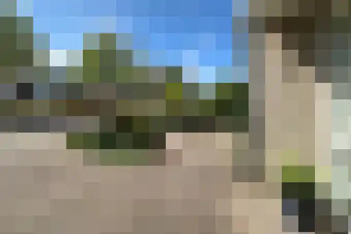 Potgietersingel 25 Zevenhuizen thumbnail 8
