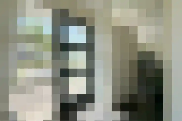 Potgietersingel 25 Zevenhuizen thumbnail 9