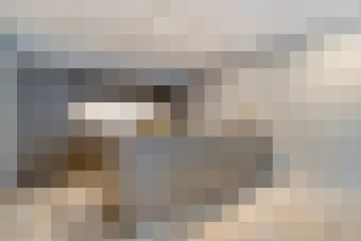 Potgietersingel 5 Zwolle thumbnail 10