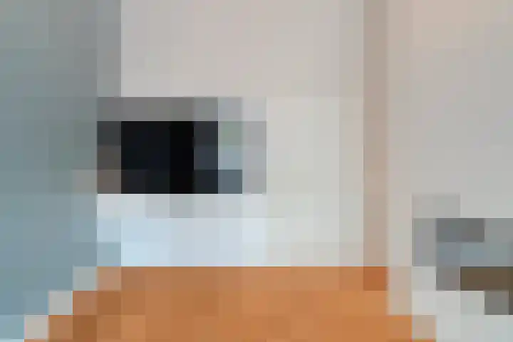 Potgietersingel 5 Zwolle thumbnail 17