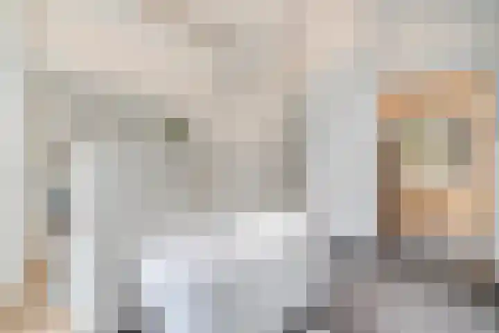 Potgietersingel 5 Zwolle thumbnail 37