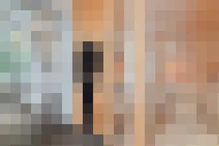 Potgietersingel 5 Zwolle thumbnail 43