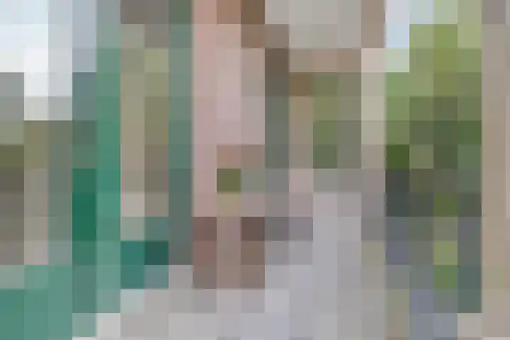 Potgietersingel 5 Zwolle thumbnail 46