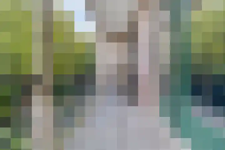 Potgietersingel 5 Zwolle thumbnail 47