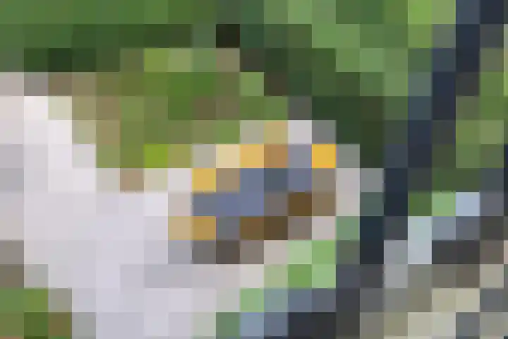 Potgietersingel 5 Zwolle thumbnail 48