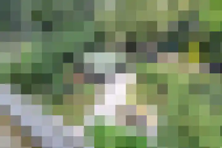 Potgietersingel 5 Zwolle thumbnail 49