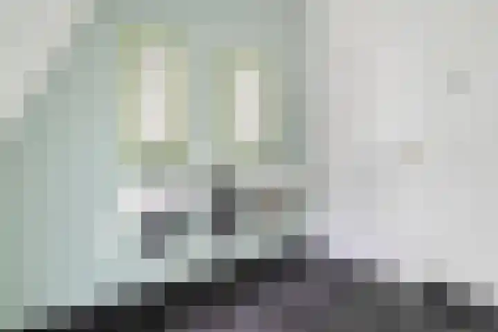Potgietersingel 5 Zwolle thumbnail 59