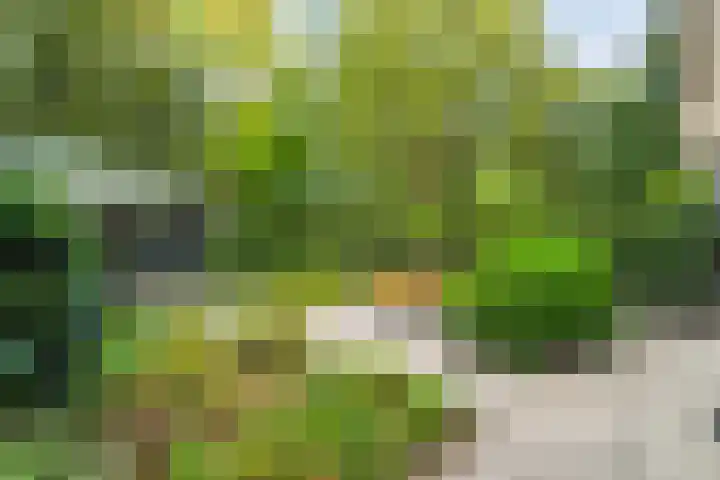 Potgietersingel 5 Zwolle thumbnail 61