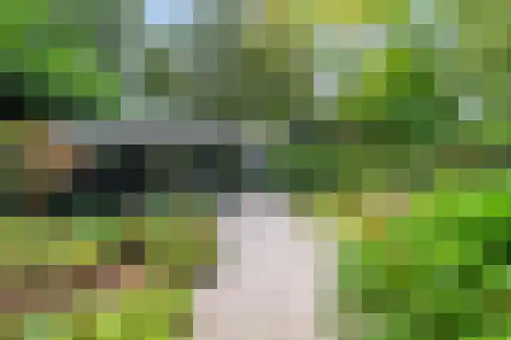 Potgietersingel 5 Zwolle thumbnail 62