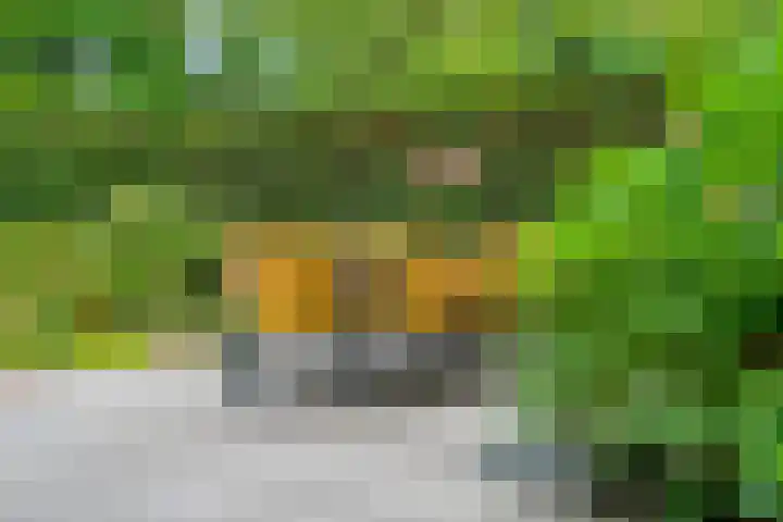 Potgietersingel 5 Zwolle thumbnail 63