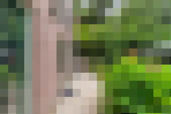 Potgietersingel 5 Zwolle thumbnail 64