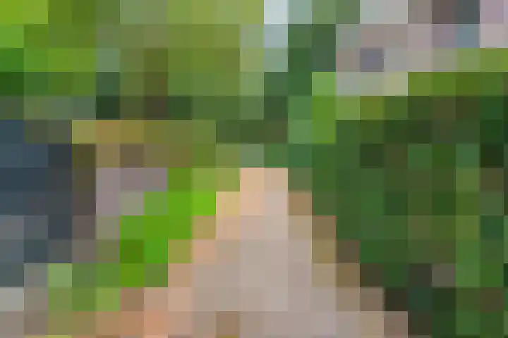Potgietersingel 5 Zwolle thumbnail 67