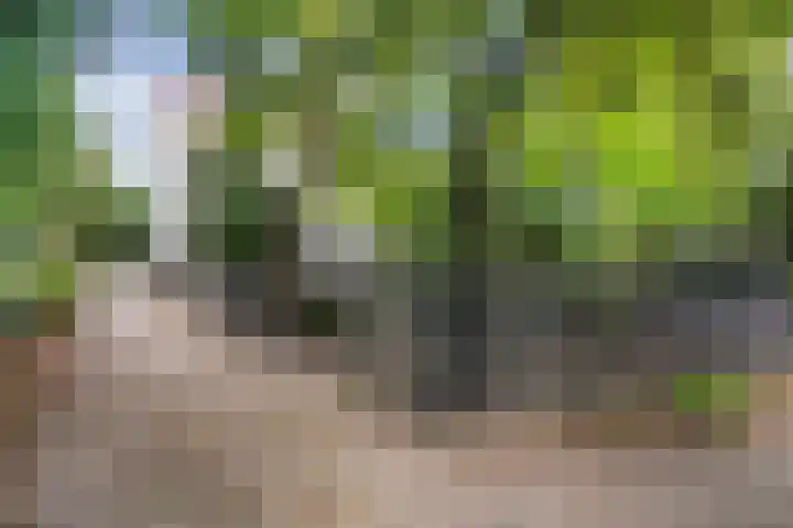 Potgietersingel 5 Zwolle thumbnail 68