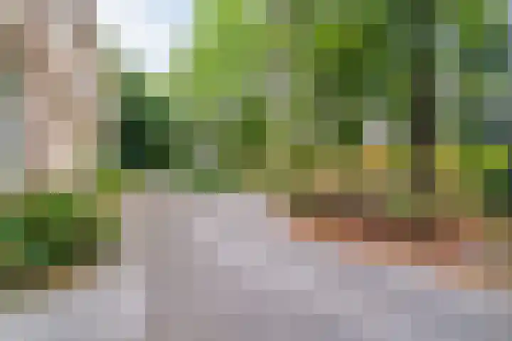 Potgietersingel 5 Zwolle thumbnail 73