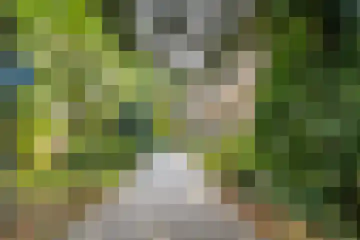 Potgietersingel 5 Zwolle thumbnail 75