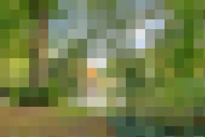 Potgietersingel 5 Zwolle thumbnail 76