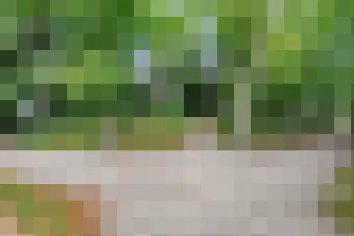 Potgietersingel 5 Zwolle thumbnail 77