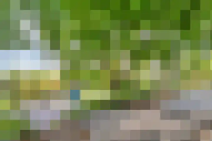 Potgietersingel 5 Zwolle thumbnail 78