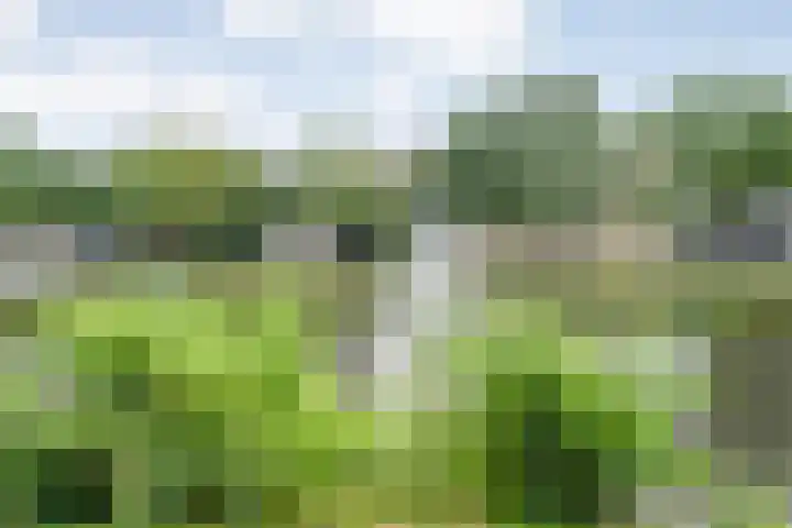 Potgietersingel 5 Zwolle thumbnail 79