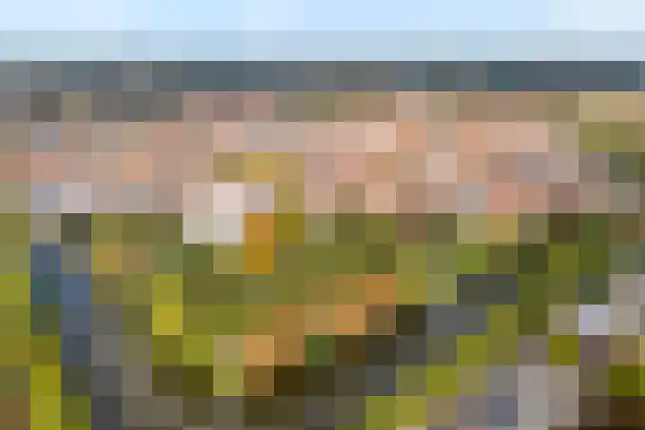 Potgietersingel 5 Zwolle thumbnail 80