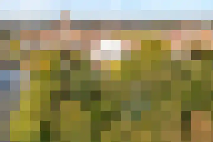 Potgietersingel 5 Zwolle thumbnail 81