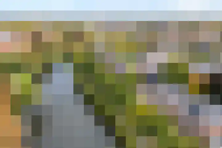 Potgietersingel 5 Zwolle thumbnail 82