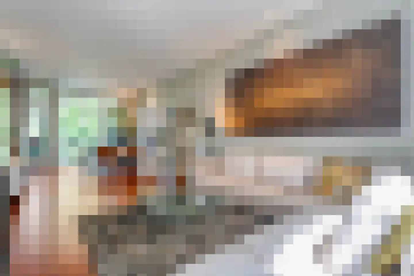 Potgietersingel 6 Zwolle thumbnail 14