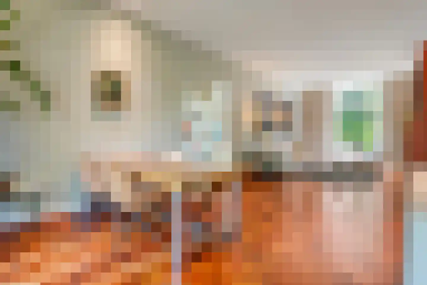 Potgietersingel 6 Zwolle thumbnail 15
