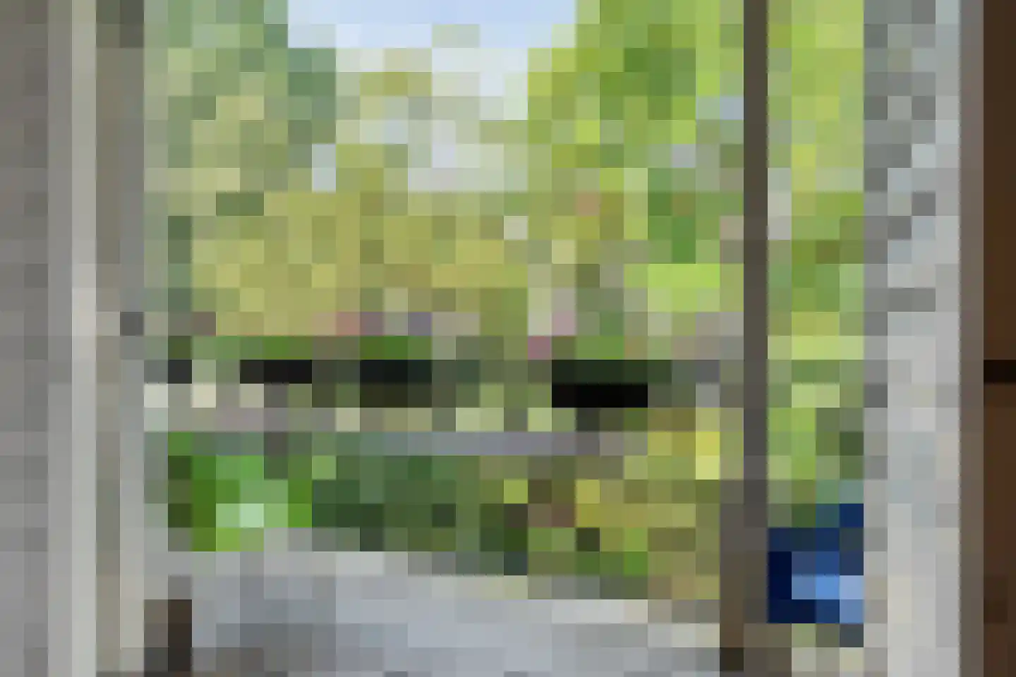 Potgietersingel 6 Zwolle thumbnail 20
