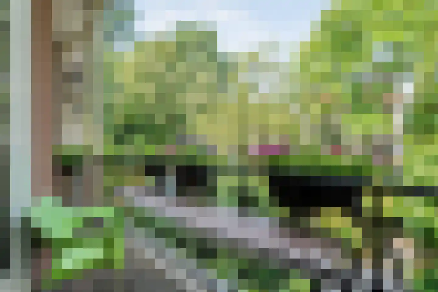 Potgietersingel 6 Zwolle thumbnail 21