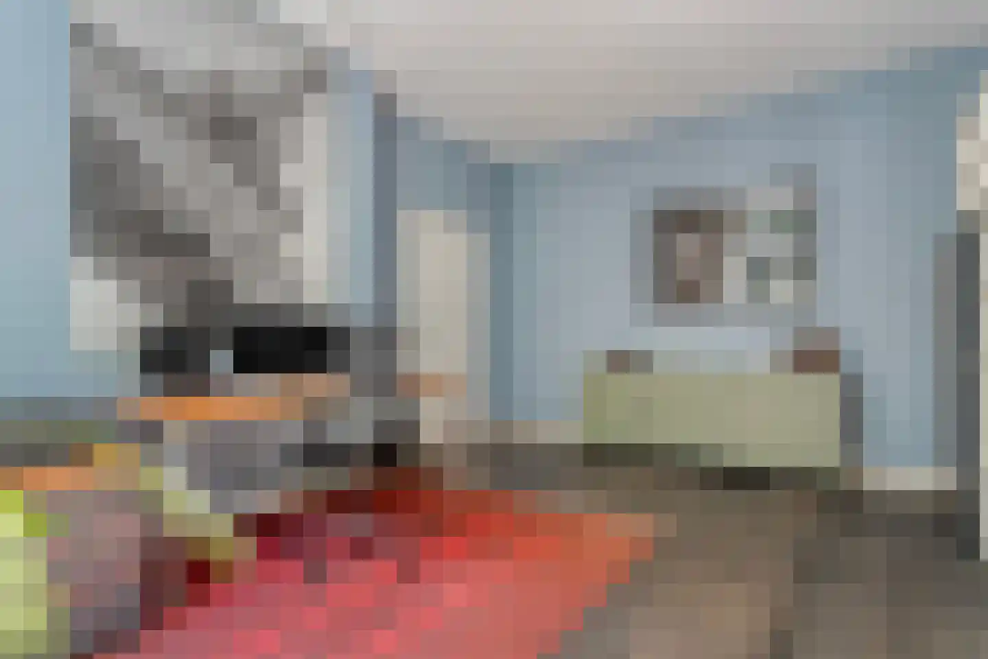 Potgietersingel 6 Zwolle thumbnail 27