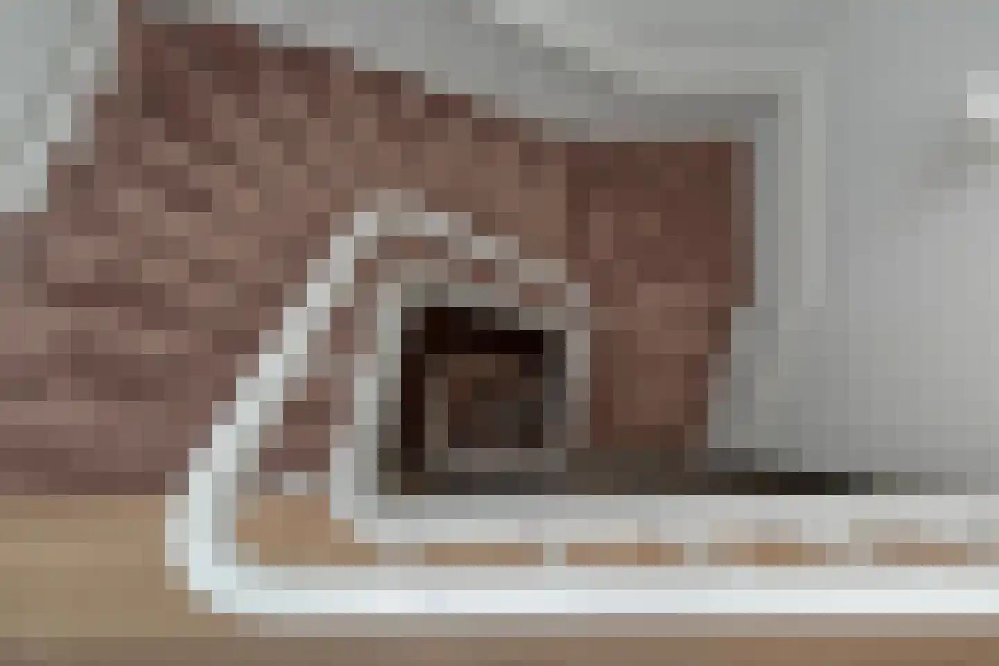 Potgietersingel 6 Zwolle thumbnail 33