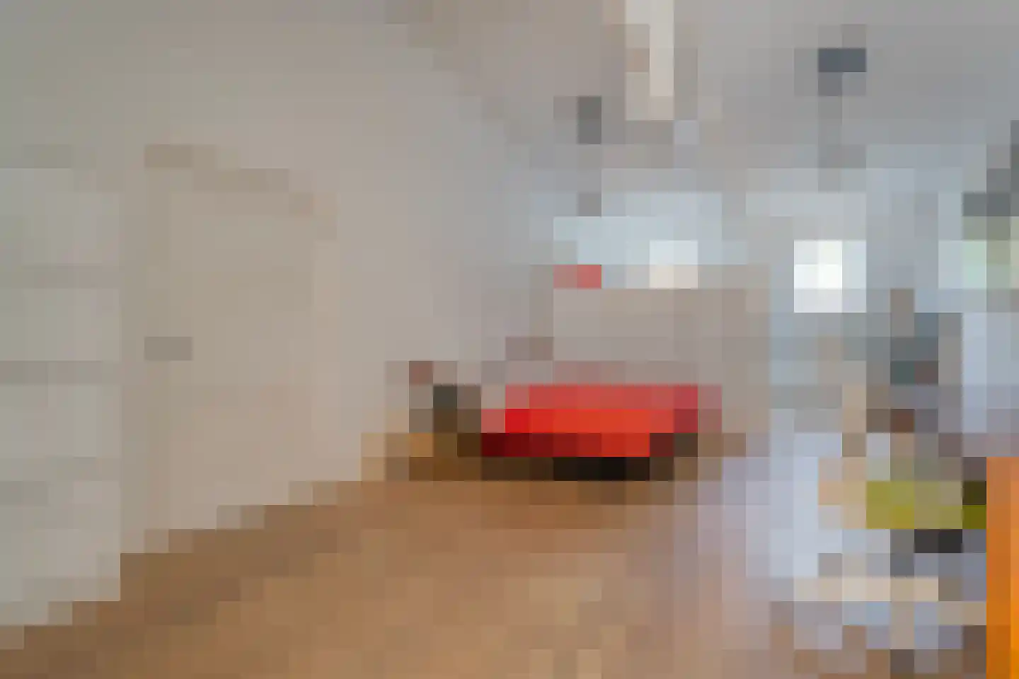 Potgietersingel 6 Zwolle thumbnail 37