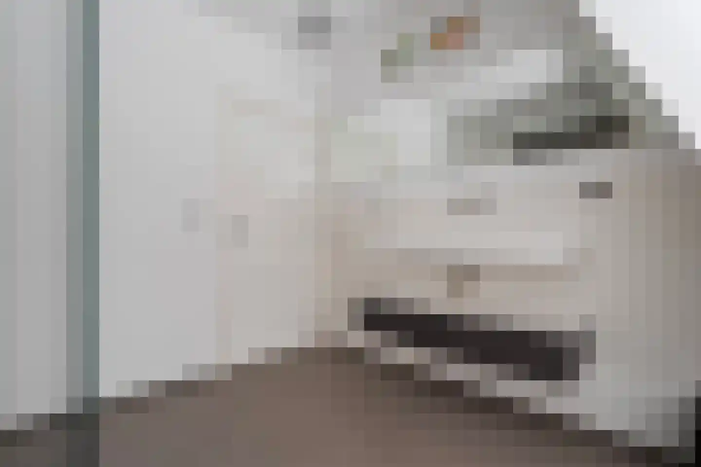 Potgietersingel 6 Zwolle thumbnail 43