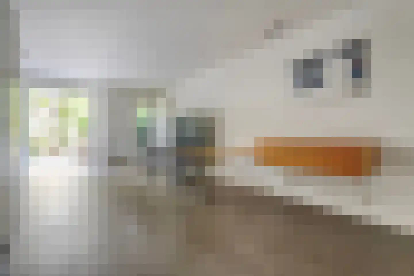 Potgietersingel 6 Zwolle thumbnail 46