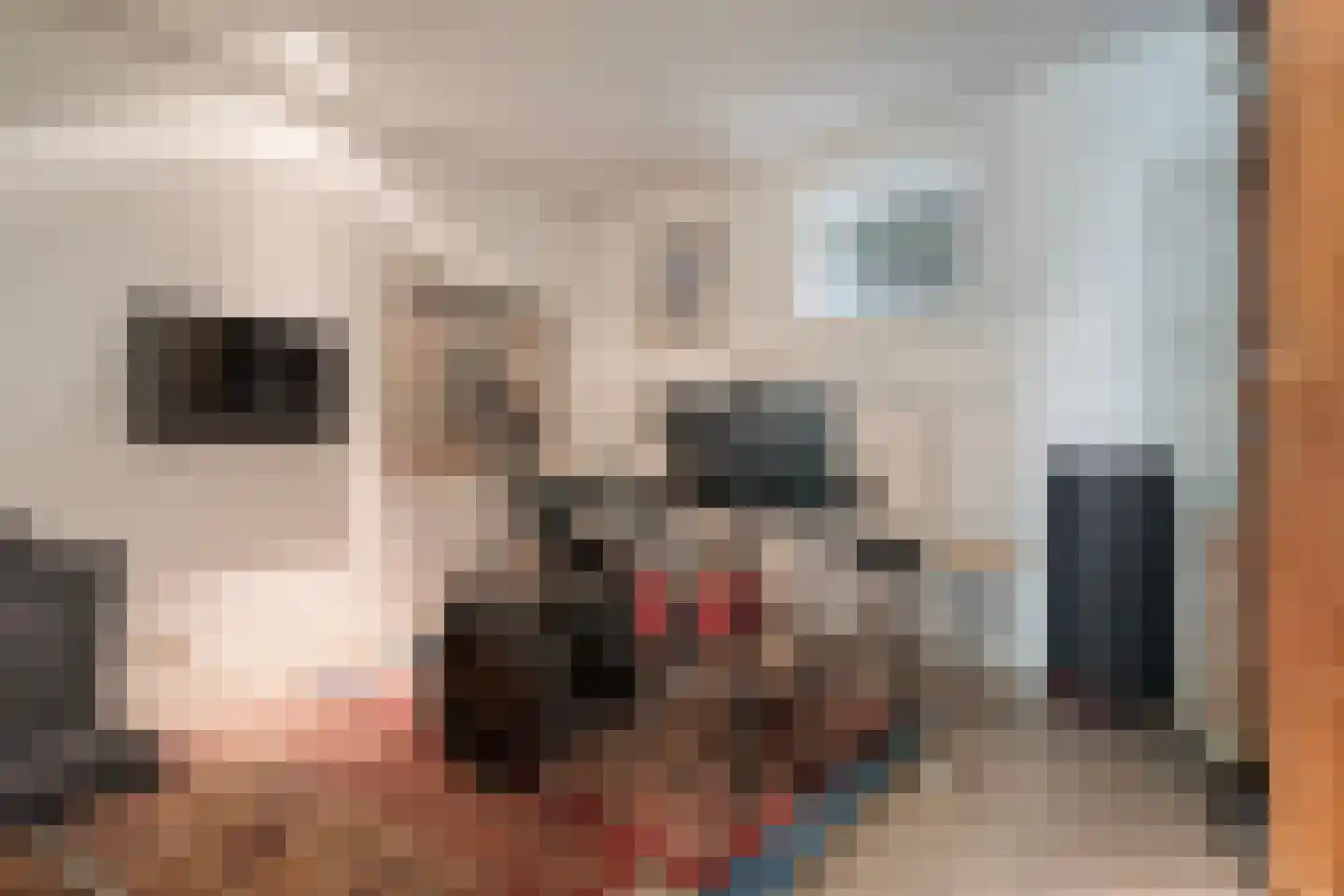 Potgietersingel 6 Zwolle thumbnail 49