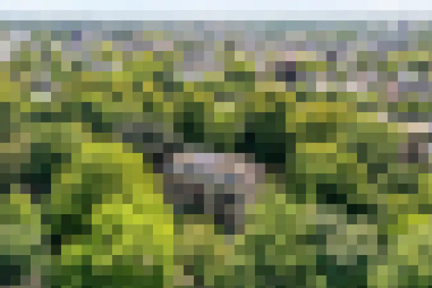 Potgietersingel 6 Zwolle thumbnail 5
