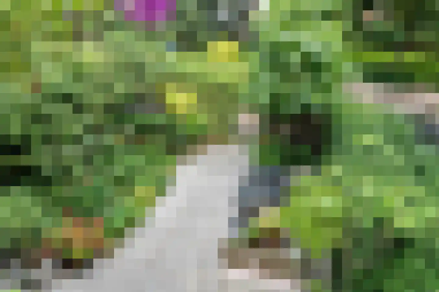 Potgietersingel 6 Zwolle thumbnail 52