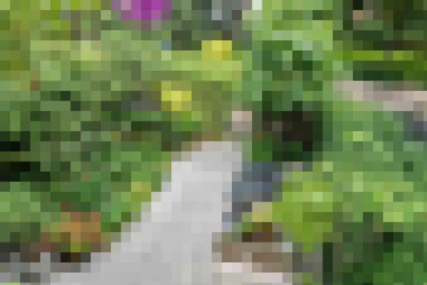 Potgietersingel 6 Zwolle thumbnail 52