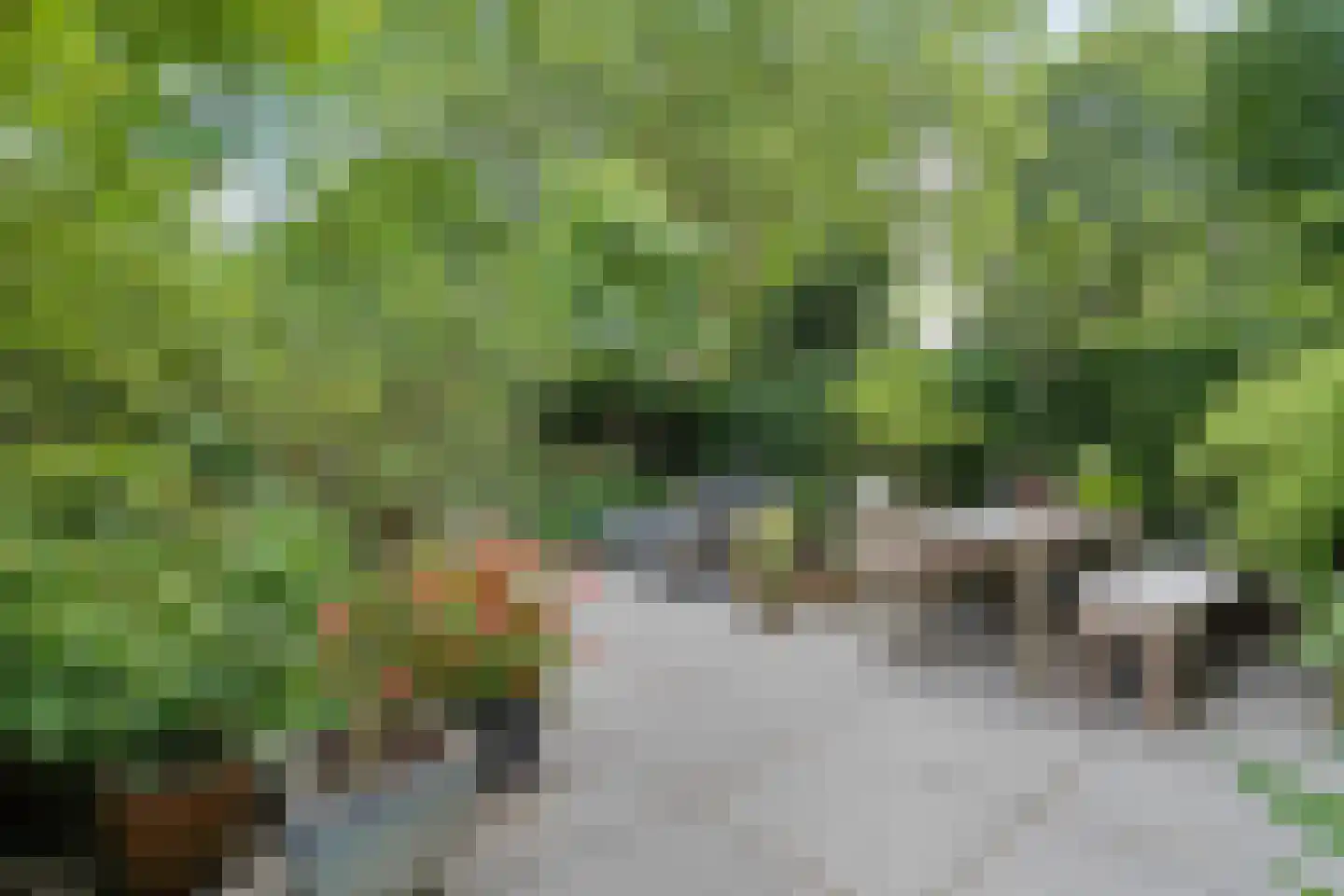 Potgietersingel 6 Zwolle thumbnail 56