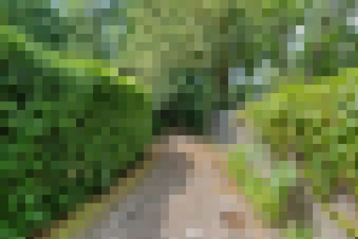 Potgietersingel 6 Zwolle thumbnail 57